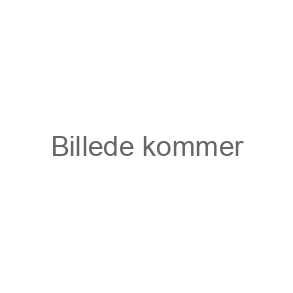 Bjørnebilleder i ramme.