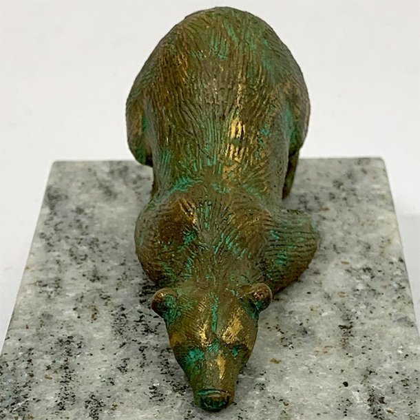 Isbjrn, liggende p maven.