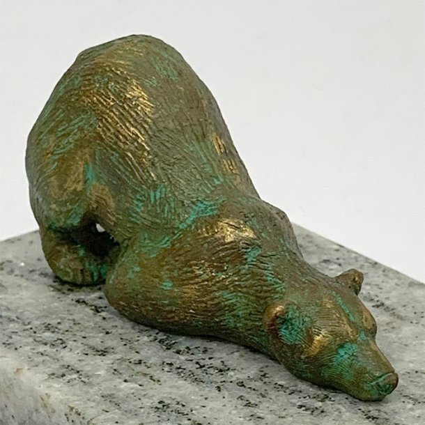 Isbjrn, liggende p maven.